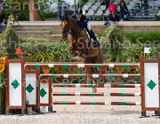 DELUCA QUASIMODO CampITA2013- S5 0415 : Campionati Italiani 2013, Cattolica, DELUCA GIUSEPPE, Horse Riviera Resort, QUASIMODO DE HURTEBISE, foto di Stefano Secchi ©