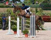 DELUCA QUASIMODO CampITA2013- S5 0420 : Campionati Italiani 2013, Cattolica, DELUCA GIUSEPPE, Horse Riviera Resort, QUASIMODO DE HURTEBISE, foto di Stefano Secchi ©