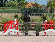 FALOMO A23 CampITA2013- S5 9692 : A 23, Campionati Italiani 2013, Cattolica, FALOMO LEONARDO, Horse Riviera Resort, foto di Stefano Secchi ©