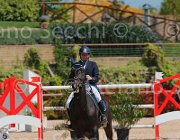 FALOMO A23 CampITA2013- S5 9694 : A 23, Campionati Italiani 2013, Cattolica, FALOMO LEONARDO, Horse Riviera Resort, foto di Stefano Secchi ©