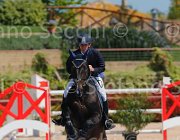FALOMO A23 CampITA2013- S5 9695 : A 23, Campionati Italiani 2013, Cattolica, FALOMO LEONARDO, Horse Riviera Resort, foto di Stefano Secchi ©