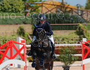 FALOMO A23 CampITA2013- S5 9696 : A 23, Campionati Italiani 2013, Cattolica, FALOMO LEONARDO, Horse Riviera Resort, foto di Stefano Secchi ©
