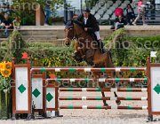 FERRARESE DARCHIN CampITA2013- S5 0389 : Campionati Italiani 2013, Cattolica, DARCHIN B, FERRARESE PAOLO, Horse Riviera Resort, foto di Stefano Secchi ©