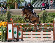 FERRARESE DARCHIN CampITA2013- S5 0390 : Campionati Italiani 2013, Cattolica, DARCHIN B, FERRARESE PAOLO, Horse Riviera Resort, foto di Stefano Secchi ©