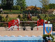 FERRARIO ACAMAR CampITA2013- S5 8937 : ACAMAR, Campionati Italiani 2013, Cattolica, FERRARIO MASSIMILIANO, Horse Riviera Resort, foto di Stefano Secchi ©