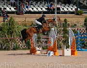 FERRARIO ACAMAR CampITA2013- S5 8946 : ACAMAR, Campionati Italiani 2013, Cattolica, FERRARIO MASSIMILIANO, Horse Riviera Resort, foto di Stefano Secchi ©