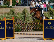 FERRARIO ACAMAR CampITA2013- S5 8948 : ACAMAR, Campionati Italiani 2013, Cattolica, FERRARIO MASSIMILIANO, Horse Riviera Resort, foto di Stefano Secchi ©