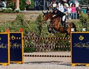 FERRARIO ACAMAR CampITA2013- S5 8949 : ACAMAR, Campionati Italiani 2013, Cattolica, FERRARIO MASSIMILIANO, Horse Riviera Resort, foto di Stefano Secchi ©