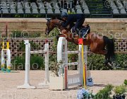 FORTINELLI PRIMEUR CampITA2013- S5 0235 : Campionati Italiani 2013, Cattolica, FORTINELLI GIANLUCA, Horse Riviera Resort, PRIMEUR 87, foto di Stefano Secchi ©