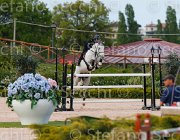 FORTINELLI QUIK CampITA2013- S5 1190 : Campionati Italiani 2013, Cattolica, FORTINELLI GIANLUCA, Horse Riviera Resort, QUIK DI VALMARINA, foto di Stefano Secchi ©