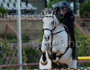 FORTINELLI QUIK CampITA2013- S5 1196 : Campionati Italiani 2013, Cattolica, FORTINELLI GIANLUCA, Horse Riviera Resort, QUIK DI VALMARINA, foto di Stefano Secchi ©