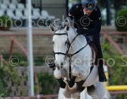 FORTINELLI QUIK ItaAss2013- S5 1197 : Campionati Italiani 2013, Cattolica, FORTINELLI GIANLUCA, Horse Riviera Resort, QUIK DI VALMARINA, foto di Stefano Secchi ©
