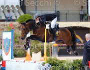 FRANZONI EDOCTRO CampITA2013- S5 0455 : Campionati Italiani 2013, Cattolica, EDOCTRO, FRANZONI FRANCESCO, Horse Riviera Resort, foto di Stefano Secchi ©