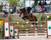FRANZONI EDOCTRO CampITA2013- S5 0456 : Campionati Italiani 2013, Cattolica, EDOCTRO, FRANZONI FRANCESCO, Horse Riviera Resort, foto di Stefano Secchi ©