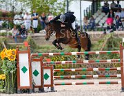 FRANZONI EDOCTRO CampITA2013- S5 0457 : Campionati Italiani 2013, Cattolica, EDOCTRO, FRANZONI FRANCESCO, Horse Riviera Resort, foto di Stefano Secchi ©