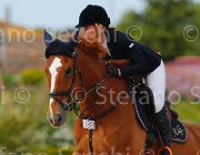 GALIANO BOMBASTIQUE CampITA2013- S5 1038 : BOMBASTIQUE VD VINCKENHOEVE, Campionati Italiani 2013, Cattolica, GALIANO ALESSANDRA, Horse Riviera Resort, foto di Stefano Secchi ©