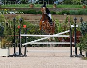 GALIANO BOMBASTIQUE CampITA2013- S5 1041 : BOMBASTIQUE VD VINCKENHOEVE, Campionati Italiani 2013, Cattolica, GALIANO ALESSANDRA, Horse Riviera Resort, foto di Stefano Secchi ©