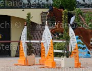 GALIANO BOMBASTIQUE CampITA2013- S5 1044 : BOMBASTIQUE VD VINCKENHOEVE, Campionati Italiani 2013, Cattolica, GALIANO ALESSANDRA, Horse Riviera Resort, foto di Stefano Secchi ©