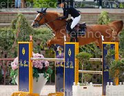 GALIANO BOMBASTIQUE CampITA2013- S5 1046 : BOMBASTIQUE VD VINCKENHOEVE, Campionati Italiani 2013, Cattolica, GALIANO ALESSANDRA, Horse Riviera Resort, foto di Stefano Secchi ©