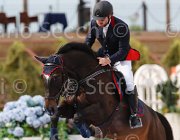 GIANNELLI CARVADIA CampITA2013- S5 1104 : CARVADIA O.H., Campionati Italiani 2013, Cattolica, GIANNELLI ANDREA, Horse Riviera Resort, foto di Stefano Secchi ©