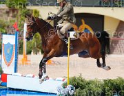 GIGANTI PRINCIPE CampITA2013- S5 0331 : Campionati Italiani 2013, Cattolica, GIGANTI FERNANDO, Horse Riviera Resort, PRINCIPE DELL'ESERCITO ITALIANO, foto di Stefano Secchi ©