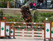GIGANTI PRINCIPE CampITA2013- S5 0338 : Campionati Italiani 2013, Cattolica, GIGANTI FERNANDO, Horse Riviera Resort, PRINCIPE DELL'ESERCITO ITALIANO, foto di Stefano Secchi ©