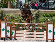 GIGANTI PRINCIPE CampITA2013- S5 0339 : Campionati Italiani 2013, Cattolica, GIGANTI FERNANDO, Horse Riviera Resort, PRINCIPE DELL'ESERCITO ITALIANO, foto di Stefano Secchi ©