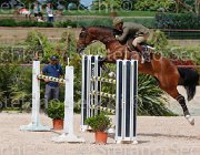 GIGANTI PRINCIPE CampITA2013- S5 0343 : Campionati Italiani 2013, Cattolica, GIGANTI FERNANDO, Horse Riviera Resort, PRINCIPE DELL'ESERCITO ITALIANO, foto di Stefano Secchi ©