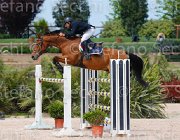 GRANESE CHILOSCIU CampITA2013- S5 0443 : CHILOSCIU, Campionati Italiani 2013, Cattolica, GRANESE ANNIBALE, Horse Riviera Resort, foto di Stefano Secchi ©