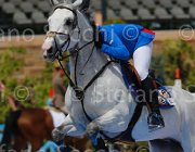 GRIMALDI QUINTALIA CampITA2013- S5 0199 : Campionati Italiani 2013, Cattolica, GRIMALDI GUIDO, Horse Riviera Resort, QUINTALIA, foto di Stefano Secchi ©