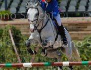 GRIMALDI QUINTALIA CampITA2013- S5 0202 : Campionati Italiani 2013, Cattolica, GRIMALDI GUIDO, Horse Riviera Resort, QUINTALIA, foto di Stefano Secchi ©