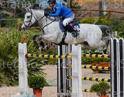 GRIMALDI QUINTALIA CampITA2013- S5 0205 : Campionati Italiani 2013, Cattolica, GRIMALDI GUIDO, Horse Riviera Resort, QUINTALIA, foto di Stefano Secchi ©