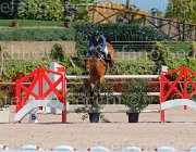 GRIMALDI TALOUBET CampITA2013- S5 9735 : Campionati Italiani 2013, Cattolica, GRIMALDI EUGENIO, Horse Riviera Resort, TALOUBET, foto di Stefano Secchi ©