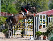 GROSSATO QUALA CampITA2013- S5 9756 : Campionati Italiani 2013, Cattolica, GROSSATO MASSIMO, Horse Riviera Resort, QUALA, foto di Stefano Secchi ©