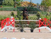 GROSSATO QUALA CampITA2013- S5 9757 : Campionati Italiani 2013, Cattolica, GROSSATO MASSIMO, Horse Riviera Resort, QUALA, foto di Stefano Secchi ©