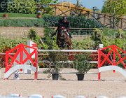 GROSSATO QUALA CampITA2013- S5 9758 : Campionati Italiani 2013, Cattolica, GROSSATO MASSIMO, Horse Riviera Resort, QUALA, foto di Stefano Secchi ©