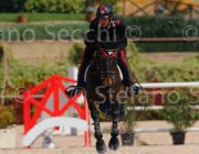 GROSSATO QUALA CampITA2013- S5 9765 : Campionati Italiani 2013, Cattolica, GROSSATO MASSIMO, Horse Riviera Resort, QUALA, foto di Stefano Secchi ©