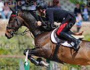GROSSATO QUALA CampITA2013- S5 9768 : Campionati Italiani 2013, Cattolica, GROSSATO MASSIMO, Horse Riviera Resort, QUALA, foto di Stefano Secchi ©