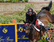 GROSSATO QUALA CampITA2013- S5 9774 : Campionati Italiani 2013, Cattolica, GROSSATO MASSIMO, Horse Riviera Resort, QUALA, foto di Stefano Secchi ©