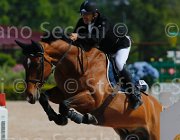 GROSSI SIETSE CampITA2013- S5 9221 : Campionati Italiani 2013, Cattolica, GROSSI LICINIO, Horse Riviera Resort, SIETSE, foto di Stefano Secchi ©