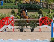 GROSSI SIETSE CampITA2013- S5 9223 : Campionati Italiani 2013, Cattolica, GROSSI LICINIO, Horse Riviera Resort, SIETSE, foto di Stefano Secchi ©