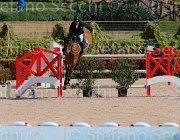 GROSSI SIETSE CampITA2013- S5 9225 : Campionati Italiani 2013, Cattolica, GROSSI LICINIO, Horse Riviera Resort, SIETSE, foto di Stefano Secchi ©
