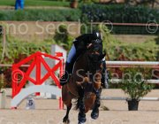 GROSSI SIETSE CampITA2013- S5 9229 : Campionati Italiani 2013, Cattolica, GROSSI LICINIO, Horse Riviera Resort, SIETSE, foto di Stefano Secchi ©