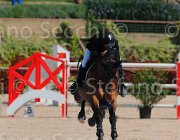 GROSSI SIETSE CampITA2013- S5 9230 : Campionati Italiani 2013, Cattolica, GROSSI LICINIO, Horse Riviera Resort, SIETSE, foto di Stefano Secchi ©