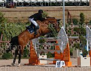 GROSSI SIETSE CampITA2013- S5 9238 : Campionati Italiani 2013, Cattolica, GROSSI LICINIO, Horse Riviera Resort, SIETSE, foto di Stefano Secchi ©