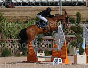 GROSSI SIETSE CampITA2013- S5 9239 : Campionati Italiani 2013, Cattolica, GROSSI LICINIO, Horse Riviera Resort, SIETSE, foto di Stefano Secchi ©