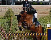 GROSSI SIETSE CampITA2013- S5 9242 : Campionati Italiani 2013, Cattolica, GROSSI LICINIO, Horse Riviera Resort, SIETSE, foto di Stefano Secchi ©