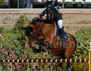 GROSSI SIETSE CampITA2013- S5 9243 : Campionati Italiani 2013, Cattolica, GROSSI LICINIO, Horse Riviera Resort, SIETSE, foto di Stefano Secchi ©