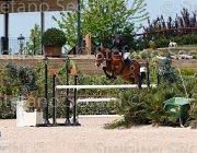 GRUBER QUIBERON CampITA2013- S5 0555 : Campionati Italiani 2013, Cattolica, GRUBER MELANIE, Horse Riviera Resort, QUIBERON W, foto di Stefano Secchi ©