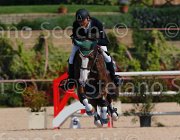 IZZO UGANITO CampITA2013- S5 9438 : Campionati Italiani 2013, Cattolica, Horse Riviera Resort, IZZO ORLANDO, UGANITO DU SEIGNEUR, foto di Stefano Secchi ©